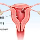 안치석봄여성의원 이미지