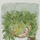 사과향기 이미지