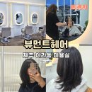 뷰먼트 | 제주 아라동 미용실 뷰먼트헤어