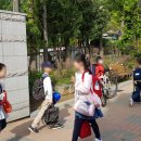 과천초등학교 정문 앞 이미지