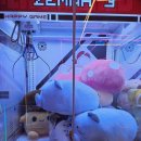 당근뽑기방 | 노원역 인형뽑기방 투어 기행