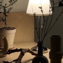 어도러블(Adorable) 이미지