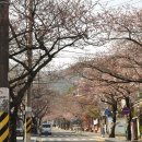 용평사거리 이미지