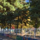 경기도 수원시 장안구 송정로21번길 이미지