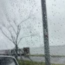 강릉(강릉) | 4인 가족 신라모노그램 강릉 여행 후기