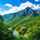 다람쥐쉼터야영장 | [100대 명산] 속리산 등반과 명소