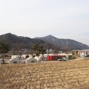 강촌테마랜드 이미지