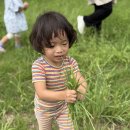 🍂 가을 숲 속엔 어떤 색이 있을까? &amp; 체육 🍂 이미지