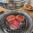 오라이투어 이미지