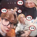 왈왈스테이 | 정신병자의 삶