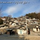 95연대(2대대) 이미지