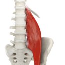준피티샵 이미지