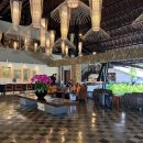 오아시스호텔 | 사누르 가성비 호텔, 더 101 발리 오아시스 사누르 내돈내산 후기