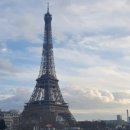 유로(YoLo) 이미지