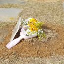 인천가족공원 이미지