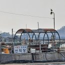 어시장길 24-5 이미지