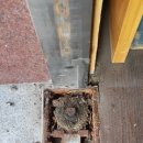 강화부식 이미지