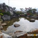 찬물내기 유원지 이미지