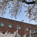 봄 내음 가득, 플로리스트(4월) | [월간로그] 봄내음 가득했던 4월