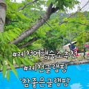 제천숙소 참좋은글램핑장 후기, 조용히 쉬기 좋은 제천글램핑