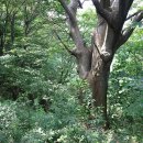 백산휴게소 이미지