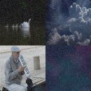 즐거운음악홀 이미지