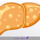 더메디칼 이미지