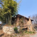 청국장 돈까스 | “보리밥에 돈까스?” 예산 여행 맛집 사과나무 직접 먹어본 내돈내산 후기