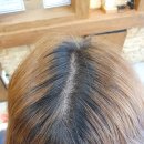 오르다헤어 이미지