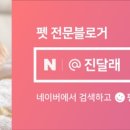 비비다아리 이미지