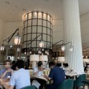 아리아오션 이미지