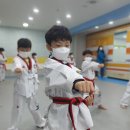 용인대중앙태권도장 이미지