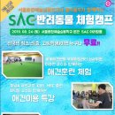 SAC 반려동물 체험캠프 이미지