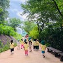 🌳예린유치원 천보산 숲체험 이야기🌳 이미지