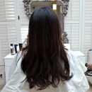 프리모 맨즈헤어 | 청담역: 제니하우스 프리모 : 셀럽들이 다니는 청담 미용실은 뭐가 다를까? 가격 정보