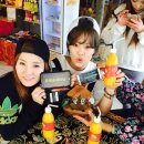 하이망고 이미지