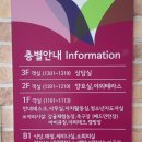 해비치호스텔 | 용산 제주유스호스텔 20평 사용후기 및 주변 식당추천
