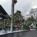 시아네민박 이미지