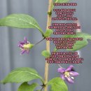 인연의 기회 이미지