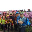 5월5일(토요일)합천 황매산(1108M)철쭉꽃 산행안내 이미지