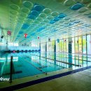 키튼드림센터수영장 이미지