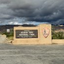 초야농장 | 마이리얼트립 내돈내산 모아트립 조슈아트리 투어 후기