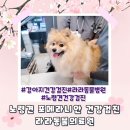 라라동물의료원 이미지