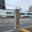 고치 | 고치 료마 공항 이용 후기(Jetstar KCZ -&gt; NRT)