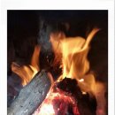 정원속의집 이미지