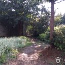 팜카밀레 이미지