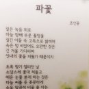 5월 29일. 한국의 탄생화 / 파꽃 등 개화기의 백합과 식물들 이미지