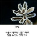 한강수