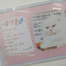 고양이별캣카페 이미지