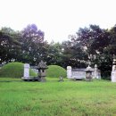 서울 연산군묘 이미지